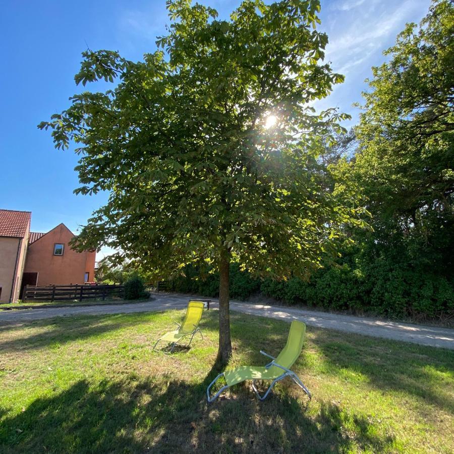 Ferienwohnung Auf Pferdehof Dreetz Exteriér fotografie