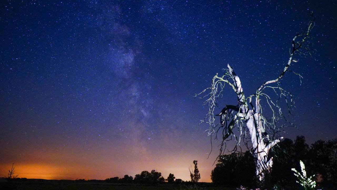 Ferienwohnung Auf Pferdehof Dreetz Exteriér fotografie