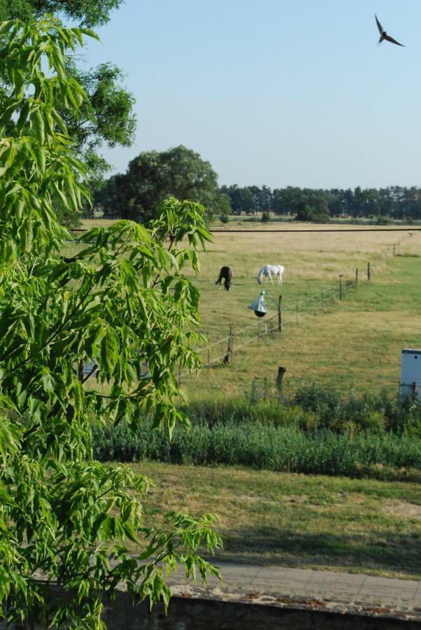 Ferienwohnung Auf Pferdehof Dreetz Exteriér fotografie
