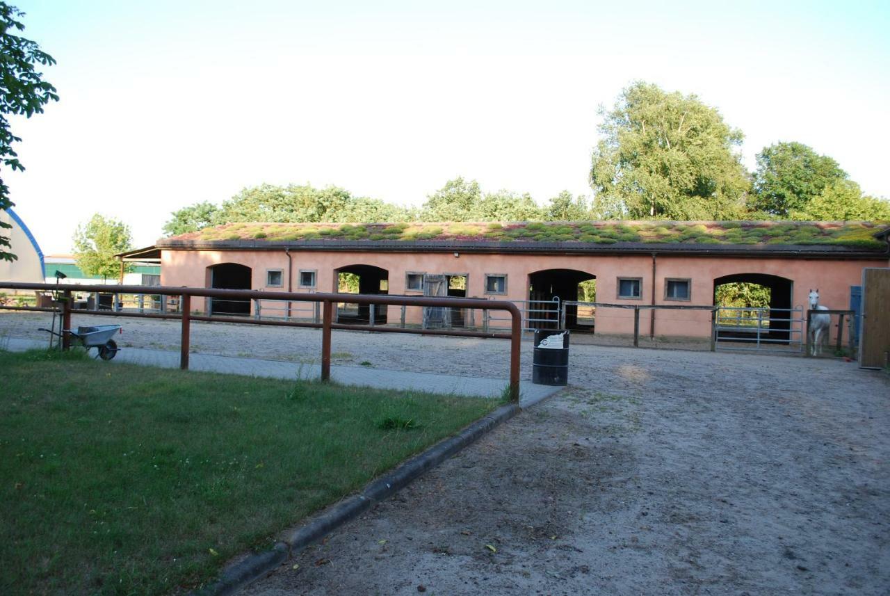 Ferienwohnung Auf Pferdehof Dreetz Exteriér fotografie